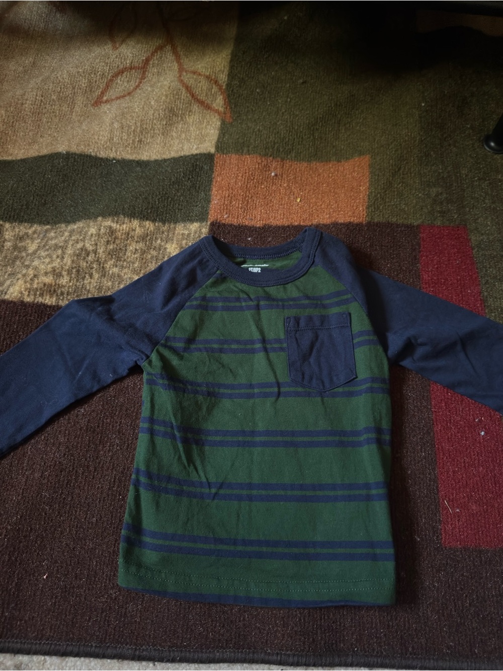 Garanimals Green & Navy Raglan Long-Sleeve Tee